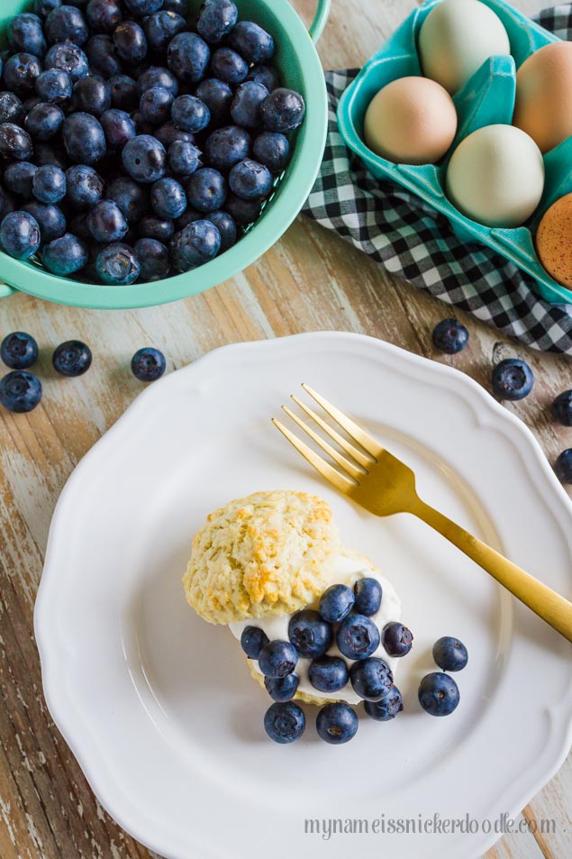 White plate with a biscuit, whipped cream and blueberries on top.
