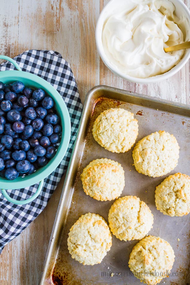 Blueberry Shortcakes Recipe
