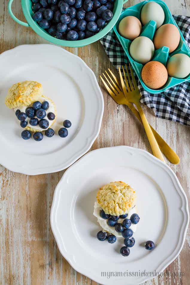 Two white plates with a biscuit, whipped cream and blueberries on top.
