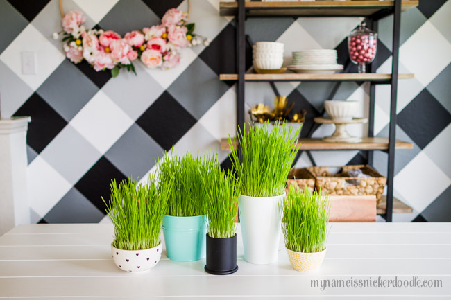 Decorative Grass | Easter | How To Grow Grass | Decor Tutorial | Easter Decor