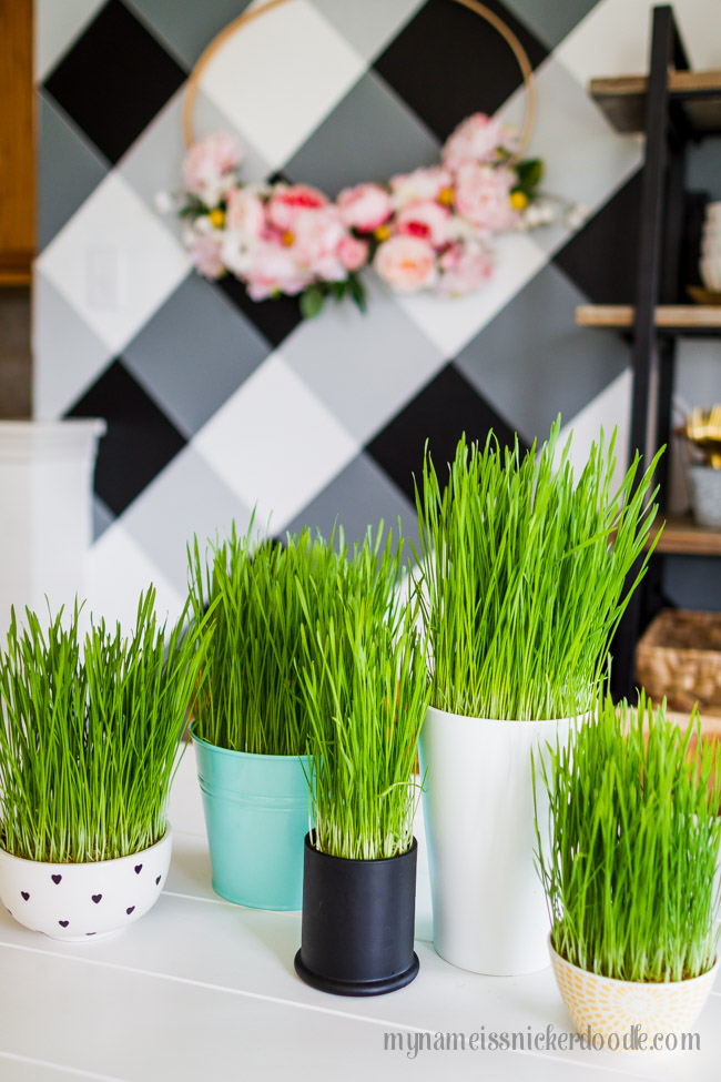 Decorative real grass in a jars on a white table