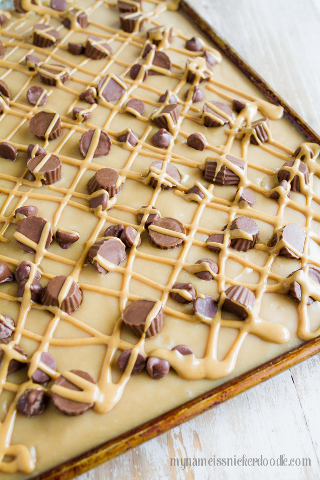 Frosted Peanut Butter Sheet Cake whole in the pan.