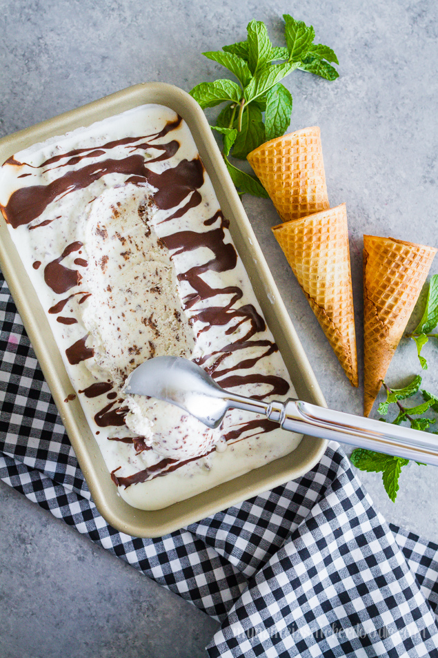 Recipe for Homemade Mint Chocolate Chip Ice Cream