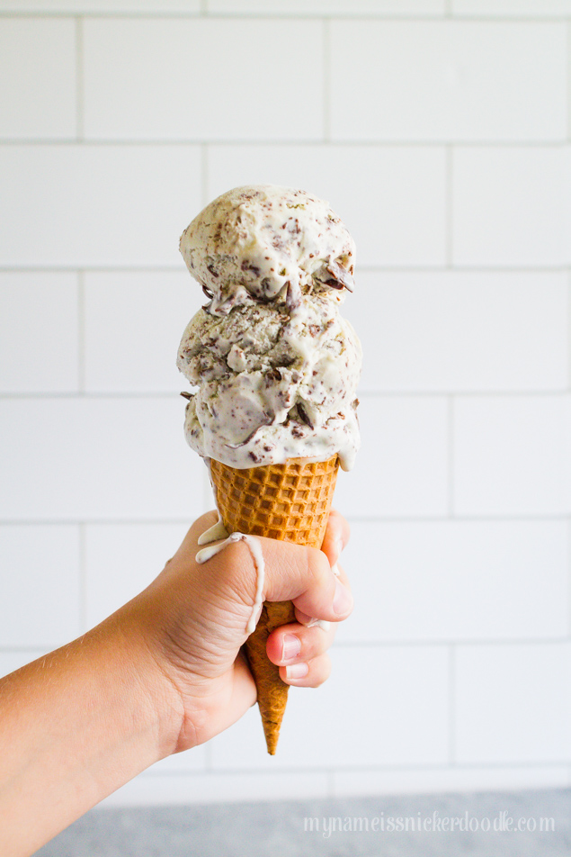 Homemade Mint Chocolate Chip Ice Cream Recipe