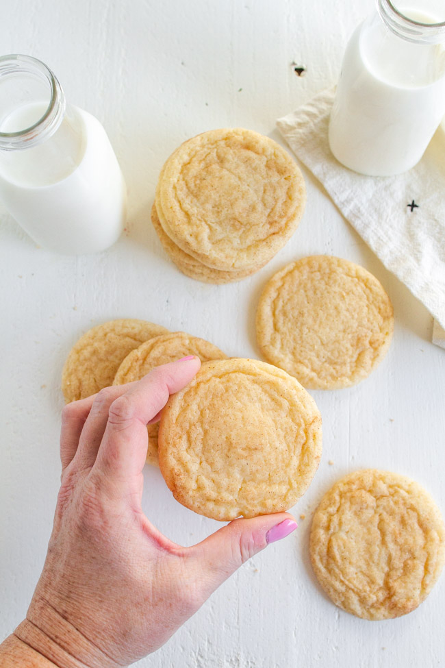 A hand holding a snickerdoodle cookie.  