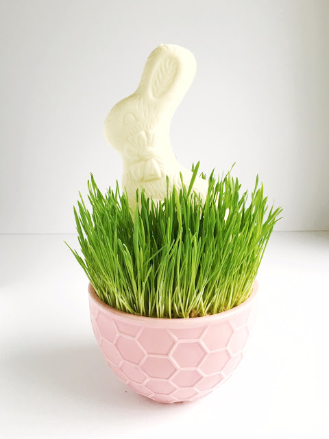 How to Grow Your Own Edible Easter Grass