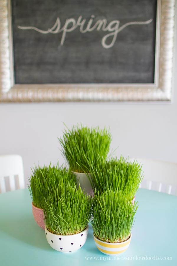 Easter grass centerpiece on a blue table