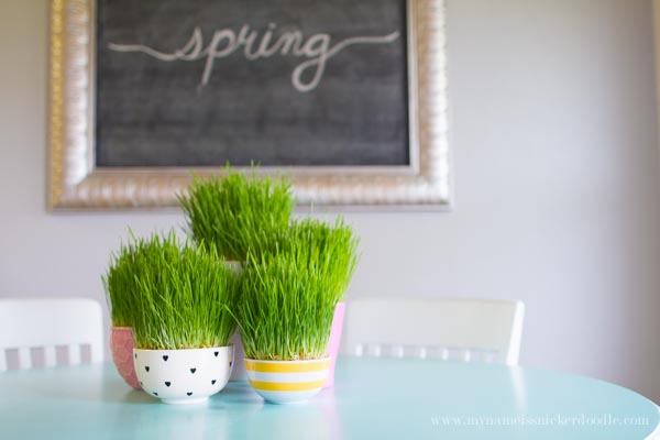 Grow your own Easter grass - Mud & Bloom