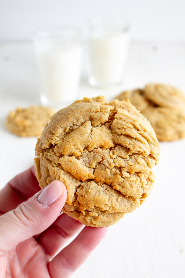 Bakery Style Big Peanut Butter Cookie