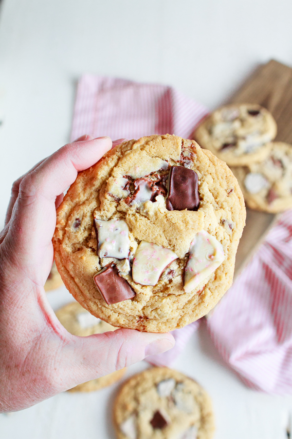 Christmas Cookies with Peppermint Bark