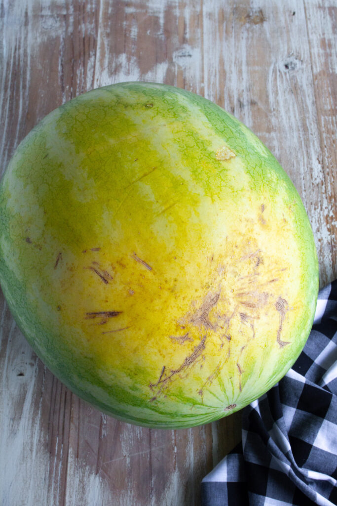 A whole ripe watermelon with a big yellow spot on a wooden table.